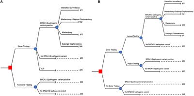 A cost-utility analysis of BRCA1 and BRCA2 testing in high-risk breast cancer patients and family members in Thailand: a cost-effective policy in resource-limited settings